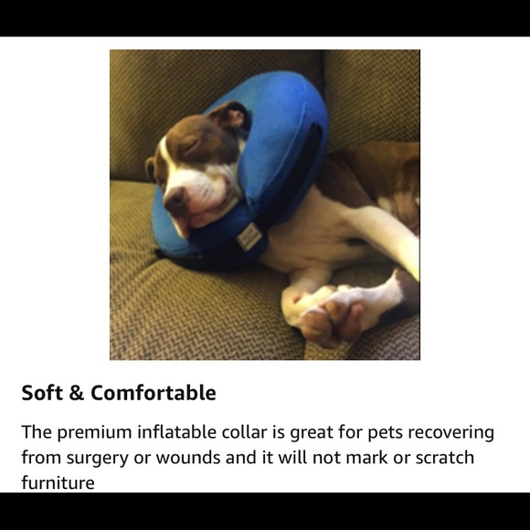 NWT Inflatable Protective Collar - Picture 2 of 10